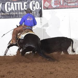 Meet your Posher, Walker